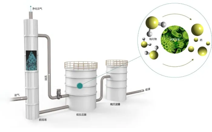 生物法脱硫_W_700px.webp