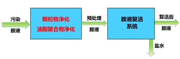 胺液的复活_W_600px.webp
