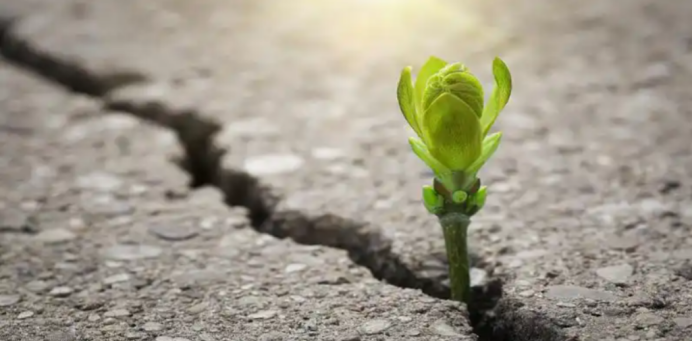 硫化氢威胁生命健康 硫化氢威胁生命健康