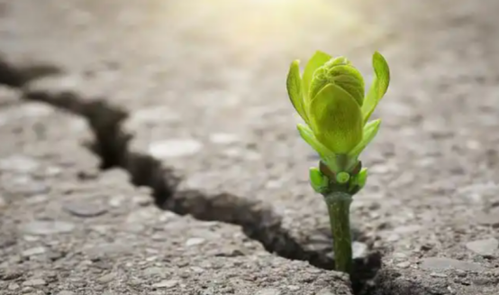 警惕！致命毒气硫化氢