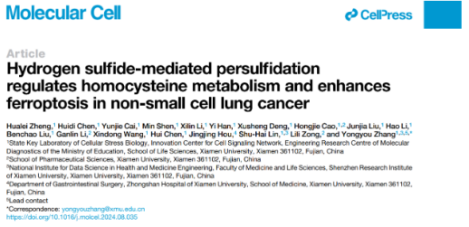 硫化氢或成肺腺癌“克星” 硫化氢或成肺腺癌“克星”