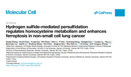 硫化氢或成肺腺癌“克星”