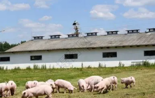 什么地方适合使用大规模沼气发电？