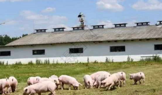 什么地方适合使用大规模沼气发电？