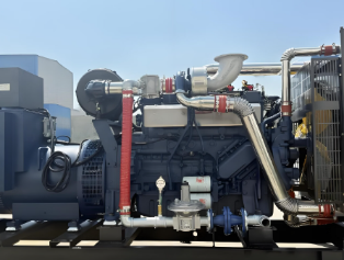 脱硫后沼气如何进入发电机？