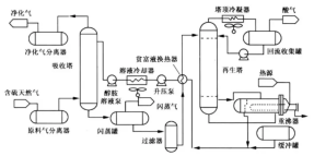 不同胺种复活方式有何差异？