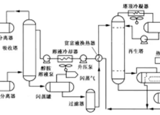 不同胺种复活方式有何差异？
